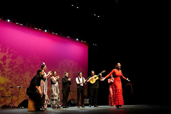 flamenco dance company